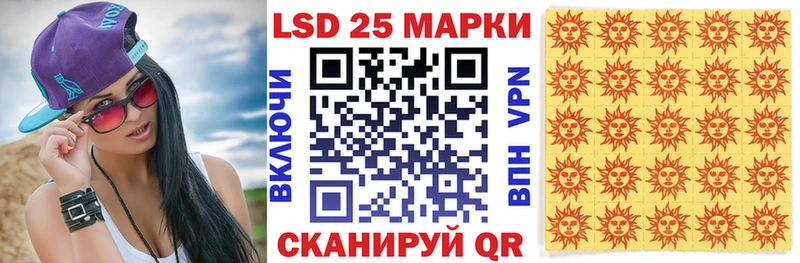 где можно купить   Нерехта  Марки NBOMe 1,5мг 