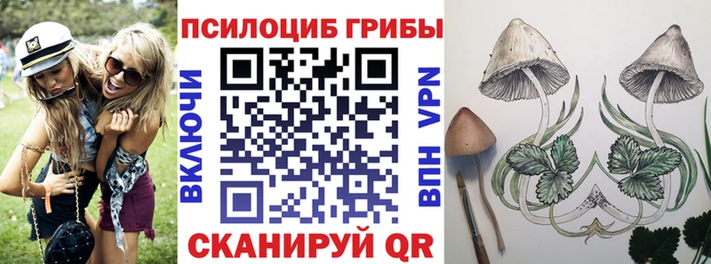 Галлюциногенные грибы Magic Shrooms  Нерехта 